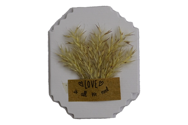 mini pampas flower greeting card 1
