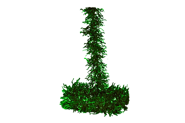 wavy metallic decorative cord 1